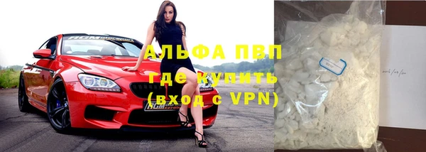 прущие грибы Кулебаки