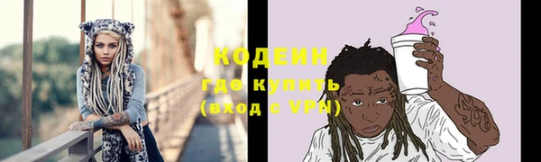 прущие грибы Кулебаки
