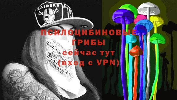 прущие грибы Кулебаки