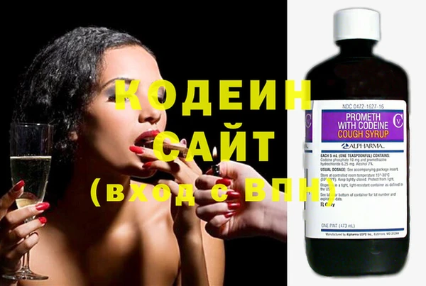 прущие грибы Кулебаки
