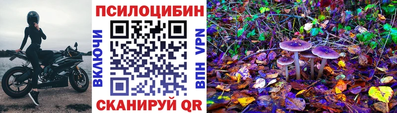 Галлюциногенные грибы мухоморы  купить  цена  Красноармейск 