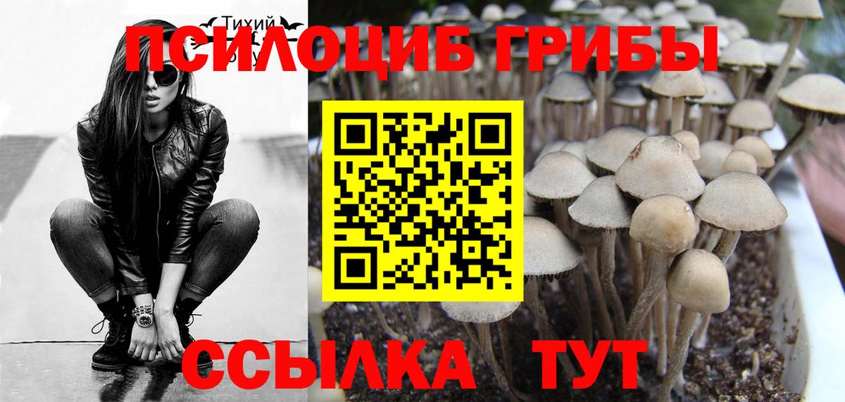 Красноармейск  Псилоцибиновые грибы Psilocybe  Вход с VPN  Псилоцибиновые грибы MAGIC MUSHROOMS 