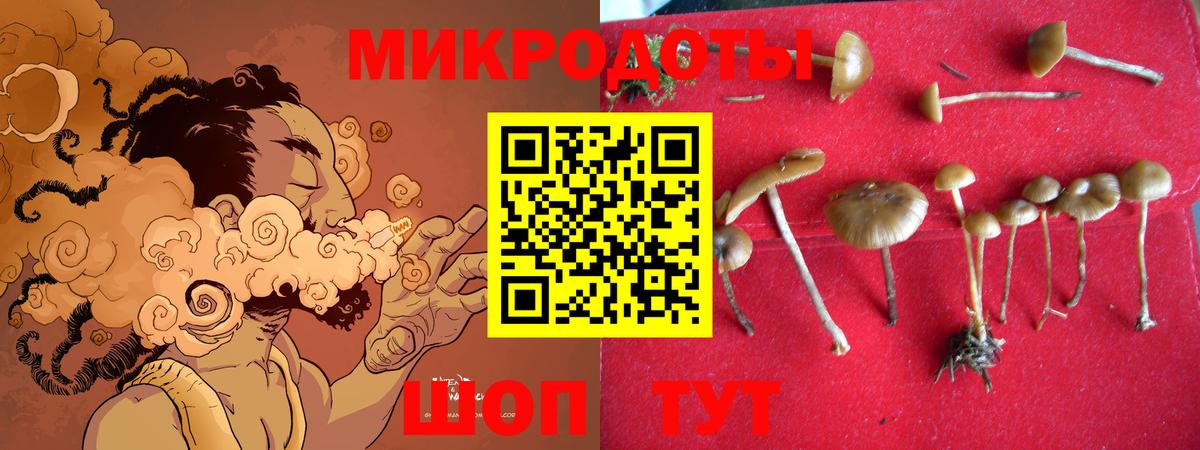 Галлюциногенные грибы Cubensis Красноармейск
